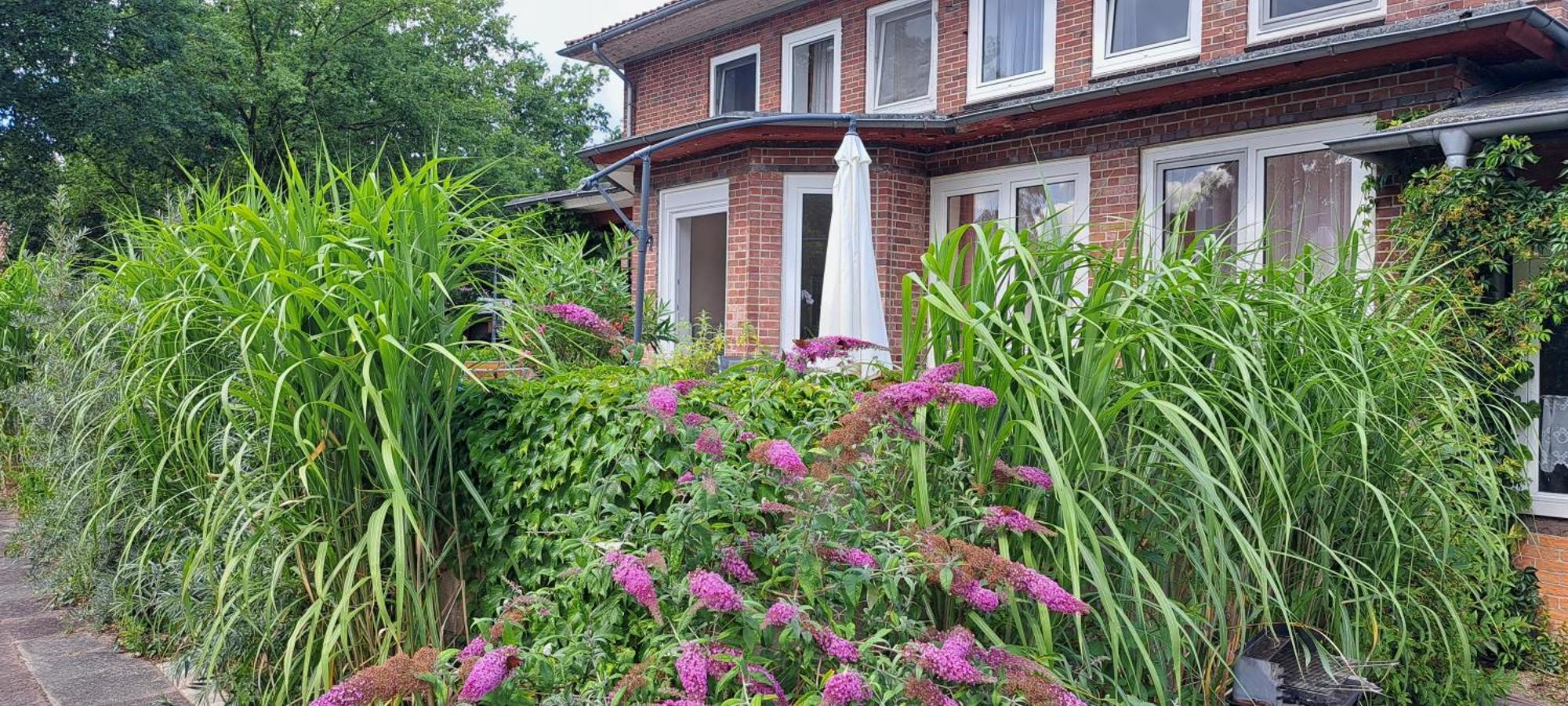 Schillers Landhaus Neu Darchau Exterior foto